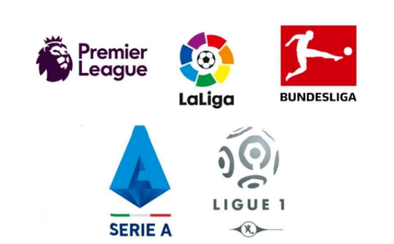 注的草根足 注的草根足